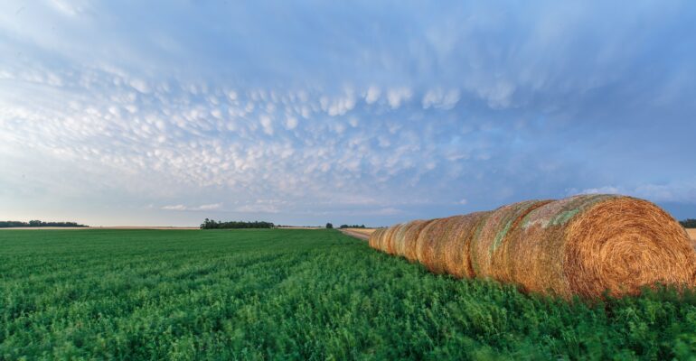 Mammatus over field in Kansas in 2017